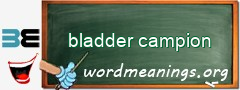 WordMeaning blackboard for bladder campion
